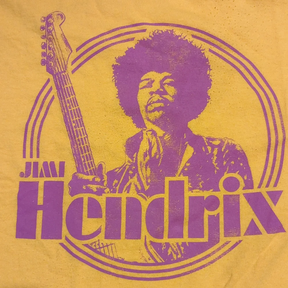 Jimi Hendrix Karl Ferris Collection Large - Picture 2 of 4